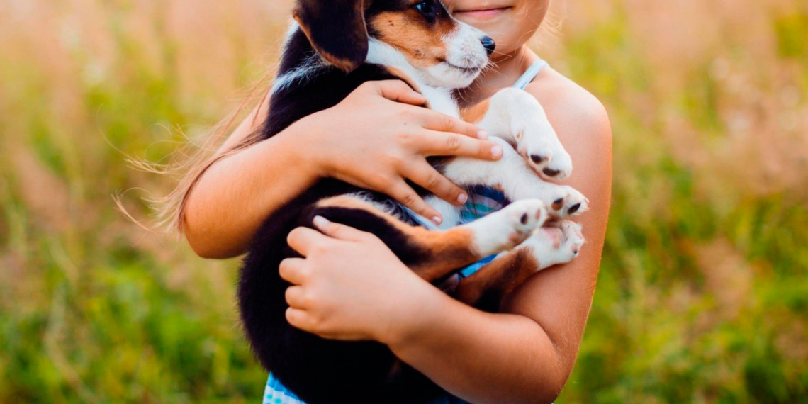 PETCO México llegó a la adopción 100 mil