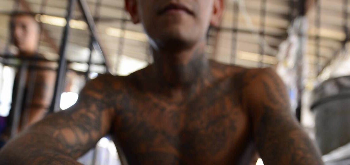 ‘Cacería’ contra cárteles: detienen a líder de la Mara Salvatrucha en EU