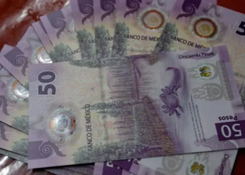 Economía mexicana caería 1.3% en 2025 por los aranceles de EU: OCDE