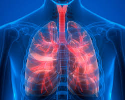 Invierno y bajas temperaturas: un factor clave en el agravamiento de la EPOC en México