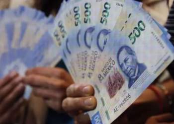 México caerá en recesión de 1.3% en 2025 y de 0.6% en 2026: OCDE