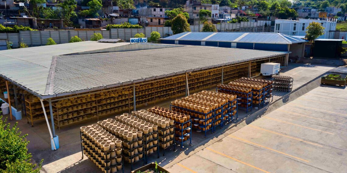 Ecofiltro: 10 años transformando la forma de beber agua hacia un futuro sostenible