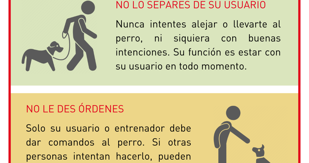 ¿Qué no hacer con un perro de asistencia?