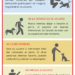 ¿Qué no hacer con un perro de asistencia?