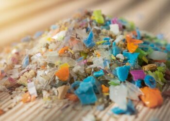 México: puntero en recuperación de PET en el Continente Americano