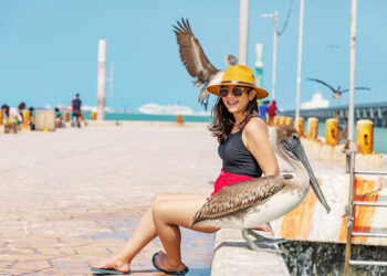 Celebra el Día del Niño en Yucatán: Música, meteoritos y aventuras familiares