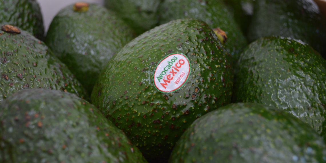 APEAM: Decisión sobre Aranceles  Fortalece el Comercio Bilateral  del Aguacate Mexicano con EE.UU