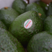 APEAM: Decisión sobre Aranceles Fortalece el Comercio Bilateral del Aguacate Mexicano con EE.UU