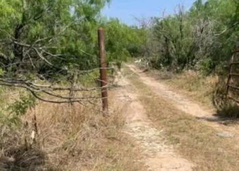 Localizan seis torsos completos en fosas de un rancho en Reynosa, Tamaulipas