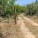 Localizan seis torsos completos en fosas de un rancho en Reynosa, Tamaulipas