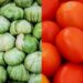 Agricultura aclara que el 20.91% de cuota a tomate no es parte de aranceles de Trump