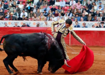 Toreros buscan amparo contra prohibición de ‘corridas con sangre’ en CDMX