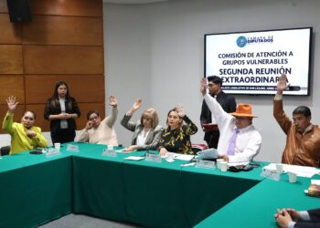 Comisión aprueba dictamen en sentido negativo sobre la Ley General para la Inclusión de las Personas con Discapacidad