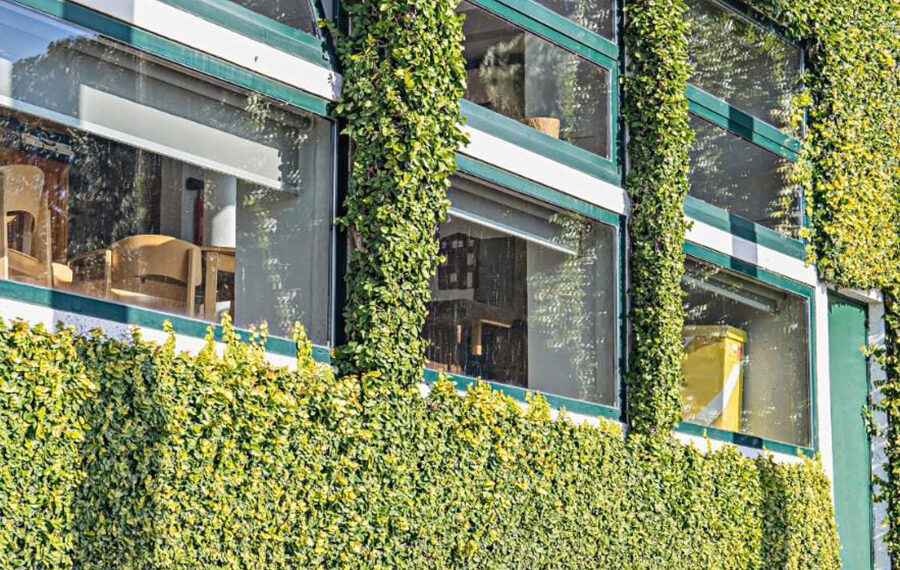 Dignifican el trabajo del conserje en México