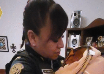 Encuentran a bebé recién nacida abandonada en Lomas de San Ángel Inn, Álvaro Obregón