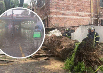 Trombas causan destrozos en al menos tres alcaldías la tarde de este sábado