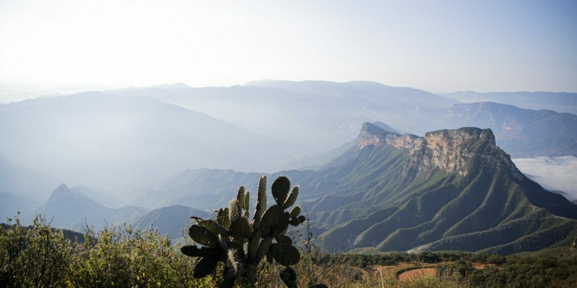 Plata Investment: Plataforma de inversión en metales preciosos mexicanos