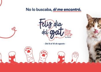 Día Internacional del Gato: PETCO reafirma su compromiso con el bienestar y el cuidado de los felinos