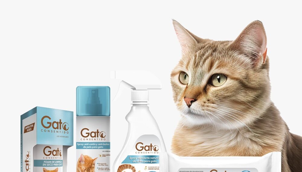 ¡Día Internacional del Gato! Celébralo creando una rutina de cuidado e higiene para tu michi