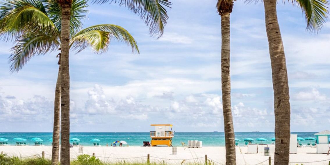 PayPal Pay Later: la fórmula que aumenta ventas de turismo internacional