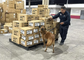 Refuerza México lucha contra el contrabando y la piratería