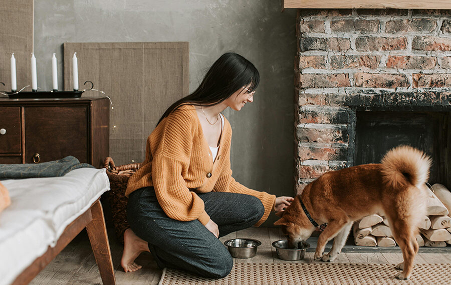 ¿Cómo fortalecer el vínculo con tu mascota? Más allá del cariño, un acto consciente