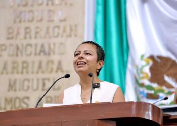 Medalla al mérito de las y los defensores de derechos humanos debe llevar el nombre de Digna Ochoa: Liz Salgado