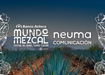 La comunicación, clave para la consolidación de la industria del mezcal: Neuma