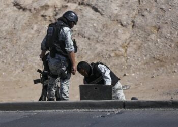 Operación Frontera Norte asegura precursores en Sinaloa con valor de 349 mdp