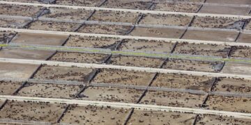 Estudio internacional revela el impacto de la ganadería industrial en las metas climáticas