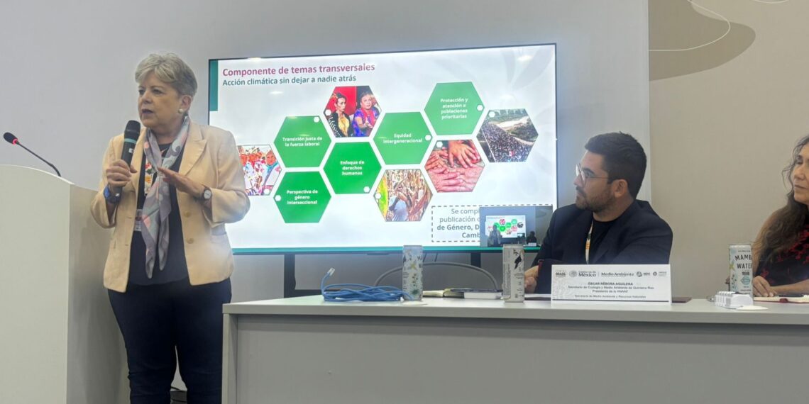 México lanza la NDC 3.0 y pone a los estados al frente de la acción climática