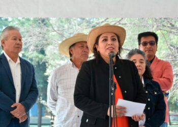 Berenice Hernández la mejor morenista evaluada en la CDMX