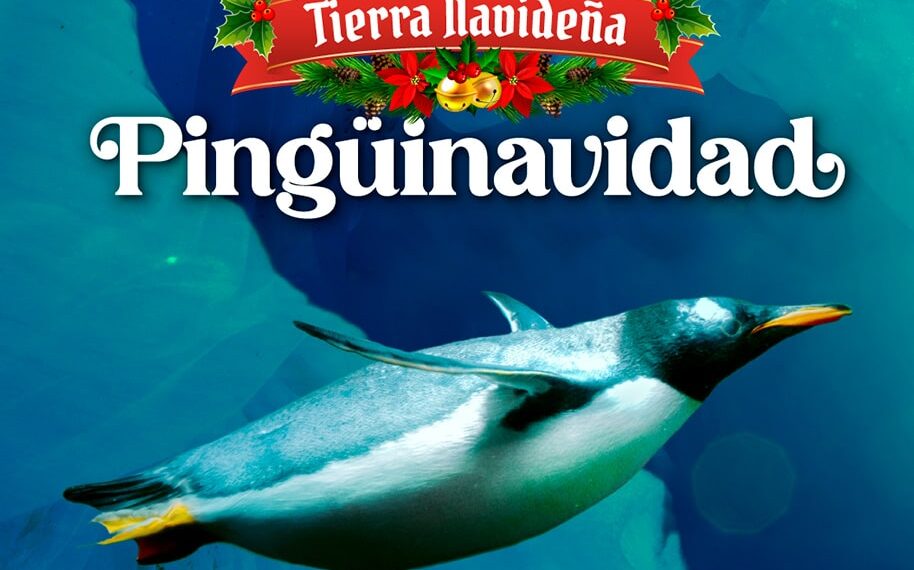 ¡Esta Navidad, tus sonrisas valen el doble en Acuario Inbursa!