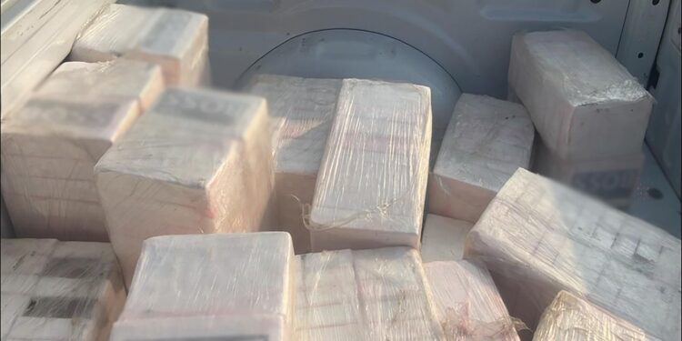 Decomisan media tonelada de droga en aeronave clandestina en Oaxaca: García Harfuch