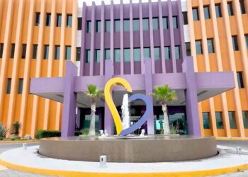 Los retos pendientes en el cáncer infantil en México: diagnóstico oportuno y atención integral