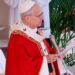“Depongan las armas, son hermanos”: Papa León XIV lanza llamado urgente por la paz en Domingo de Ramos