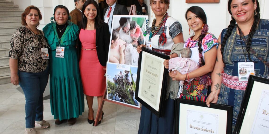 Distingue Congreso con Medalla al Mérito a profesionales en materia de salud: Dip. Valeria Cruz