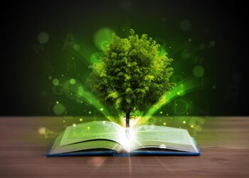 Niñas y niños mexicanos convierten la educación ambiental en acción climática