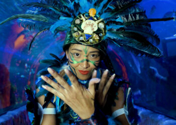 Sirenas y Tritones regresan con espectaculares inmersiones al Acuario Inbursa