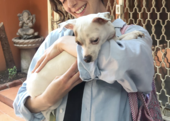 Fundación Manchitas, de Norberto Maldonado, impulsa ayuda para animales rescatados