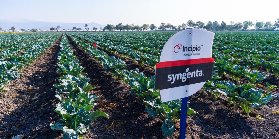 Syngenta acerca innovación y tecnología al campo mexicano con el lanzamiento de Incipio®