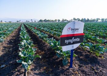 Syngenta acerca innovación y tecnología al campo mexicano con el lanzamiento de Incipio®