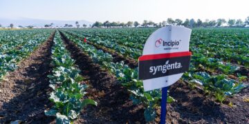 Syngenta acerca innovación y tecnología al campo mexicano con el lanzamiento de Incipio®