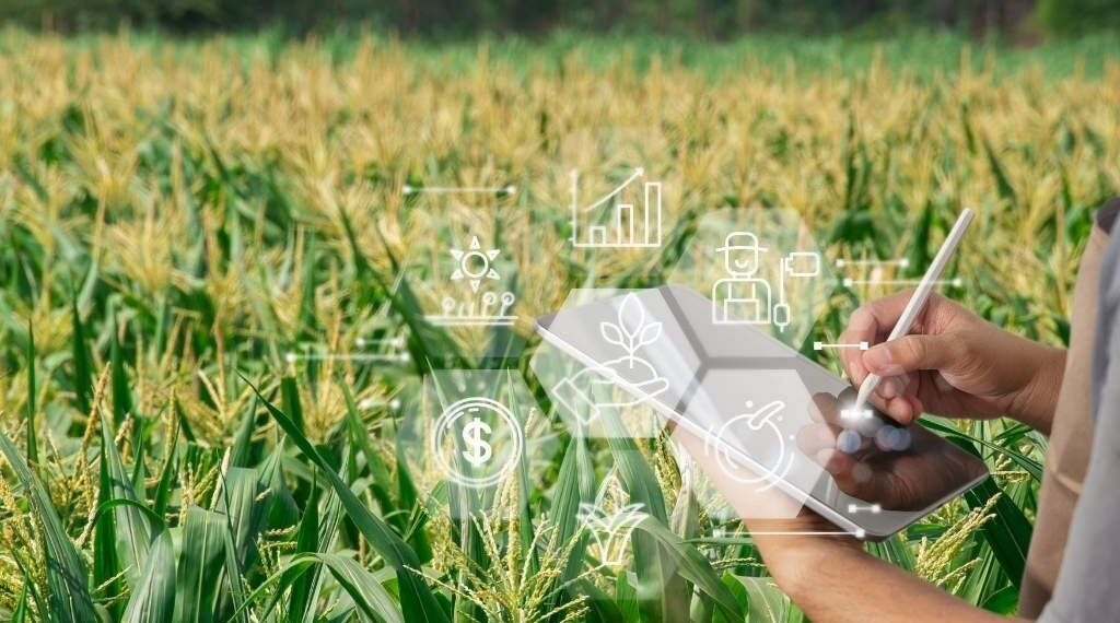 Bioenergía y sistemas de gestión: una palanca para el crecimiento sostenible del agro en México