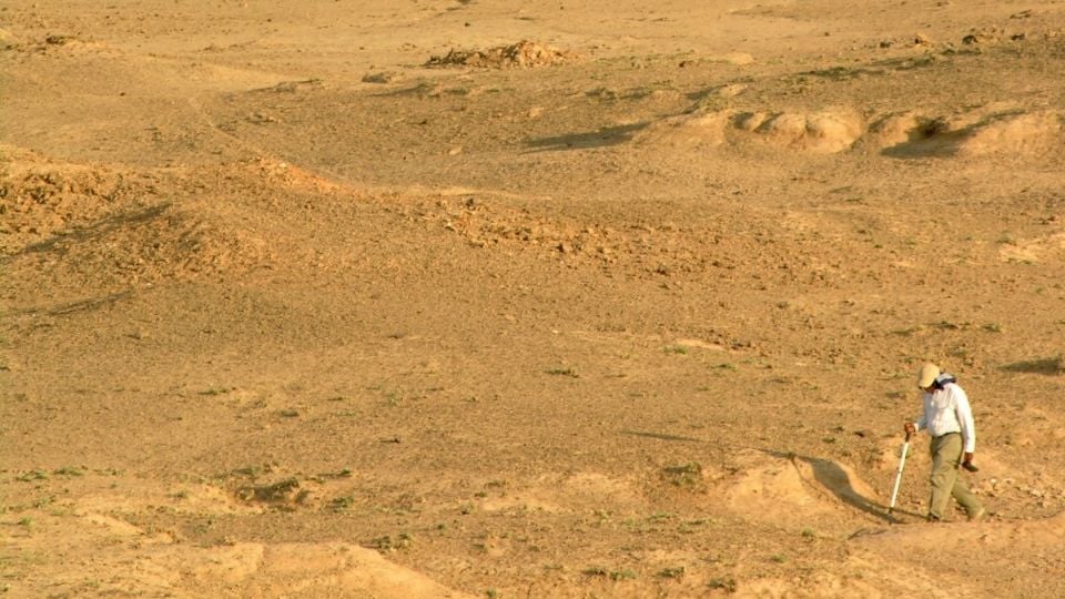 A partir de fósiles de tres humanos y miles de restos reconstruyen ecosistema de hace 100 mil años en Etiopía