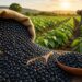 “David Monreal apuesta por abrir diálogo con productores del campo”
