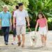 La prevención antiparasitaria es clave para proteger la salud de las mascotas y las familias, señala encuesta internacional