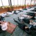 El yoga como respuesta al agotamiento moderno: regresa el Encuentro Nacional de Yoga