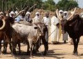 Enfrentamientos entre pastores y campesinos dejan al menos 32 muertos en Chad, entre ellos cuatro niños
