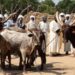 Enfrentamientos entre pastores y campesinos dejan al menos 32 muertos en Chad, entre ellos cuatro niños